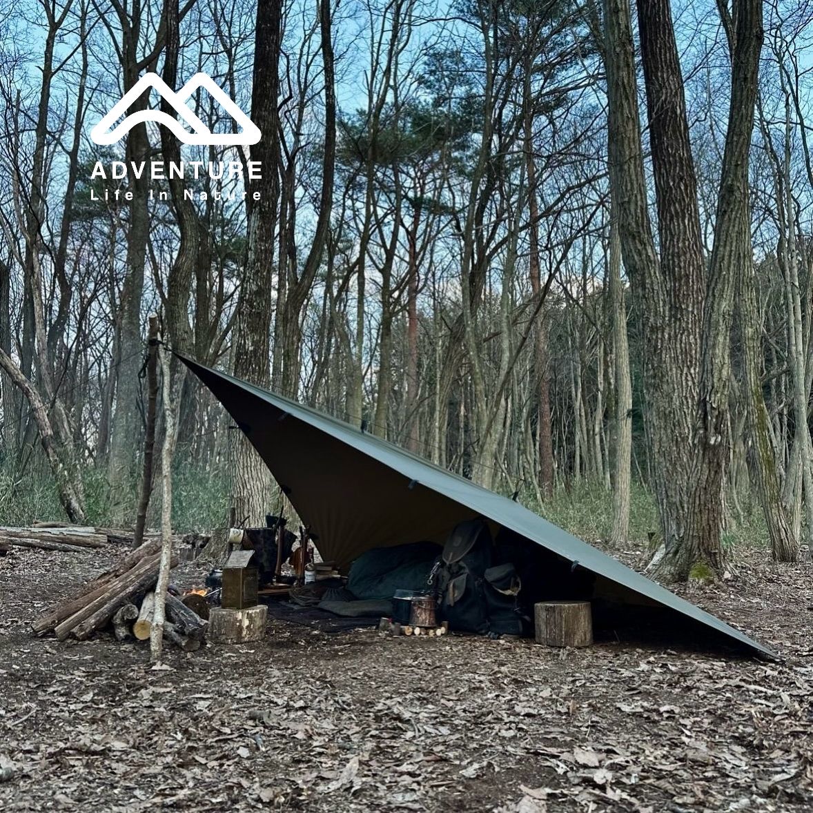 تارپ بدون مطعلقات دیلور مدل SKYWARD