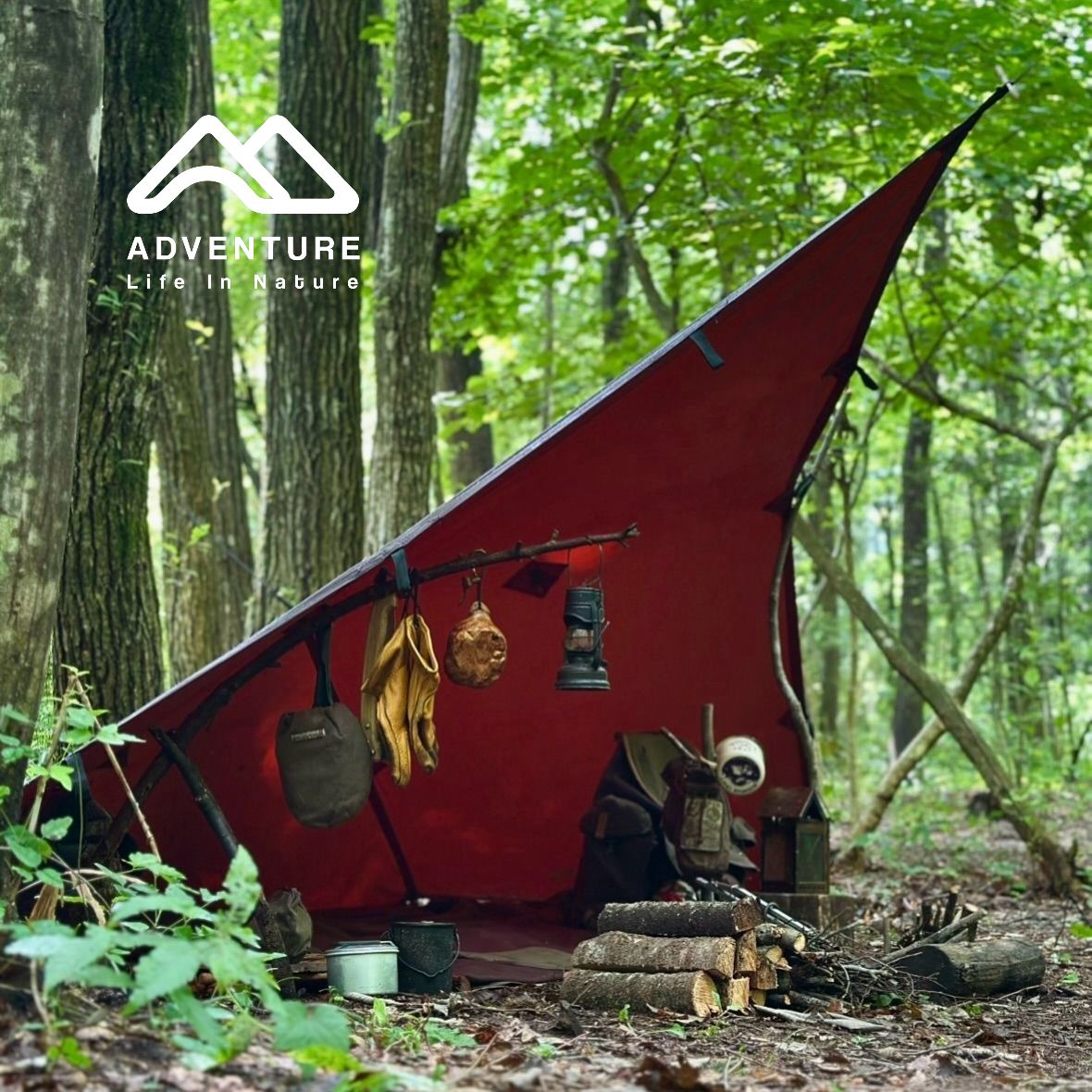 تارپ بدون مطعلقات دیلور مدل SKYWARD