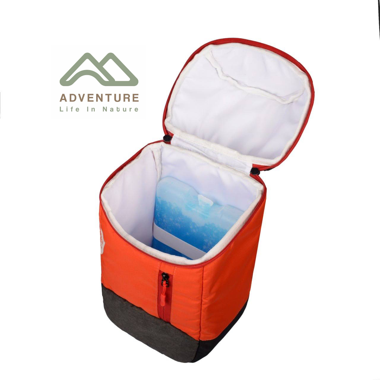 کول بگ هپی کمپ