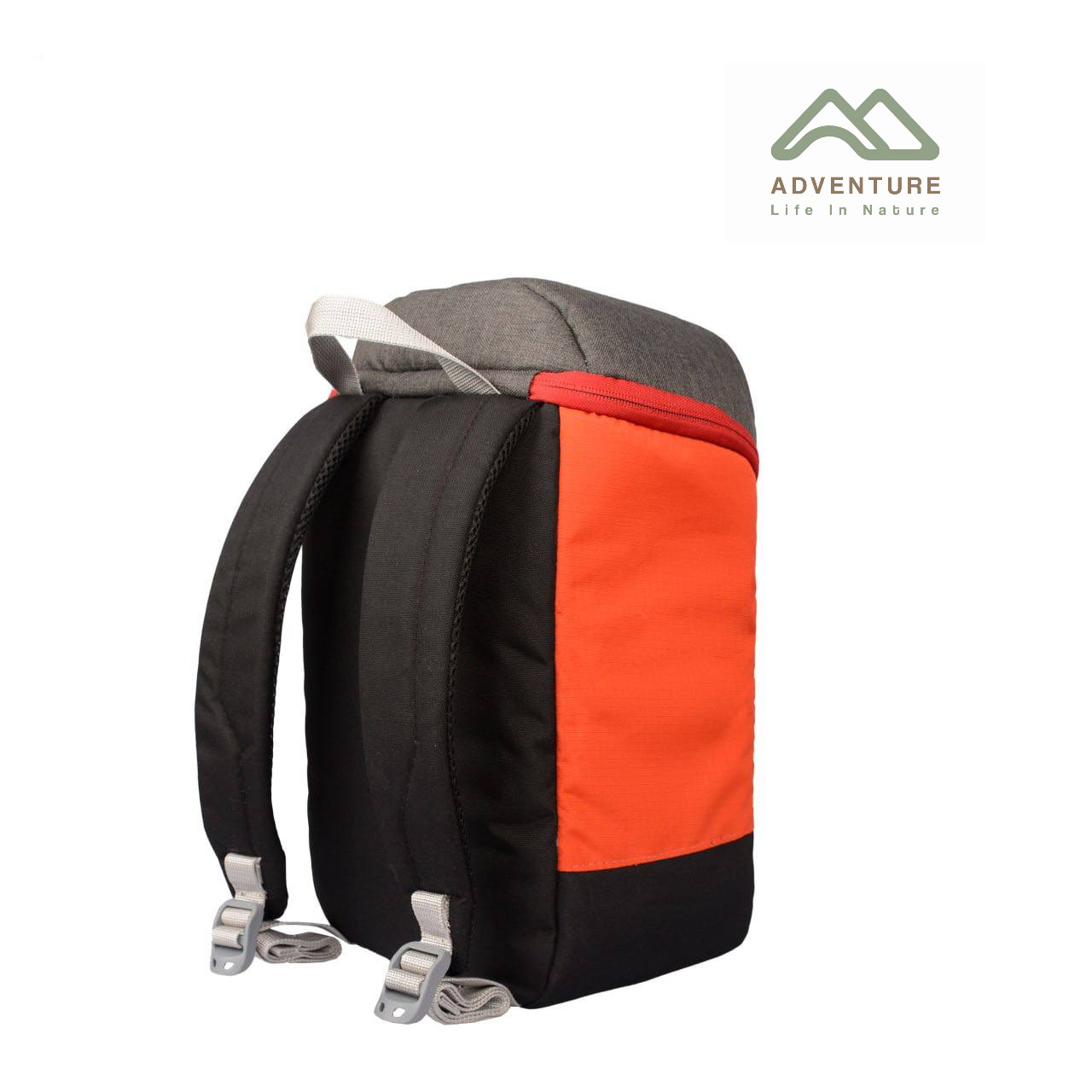 کول بگ هپی کمپ